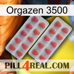 Orgazen 3500 19